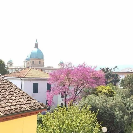 Stipino