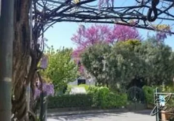 Stipino 2* Лукка